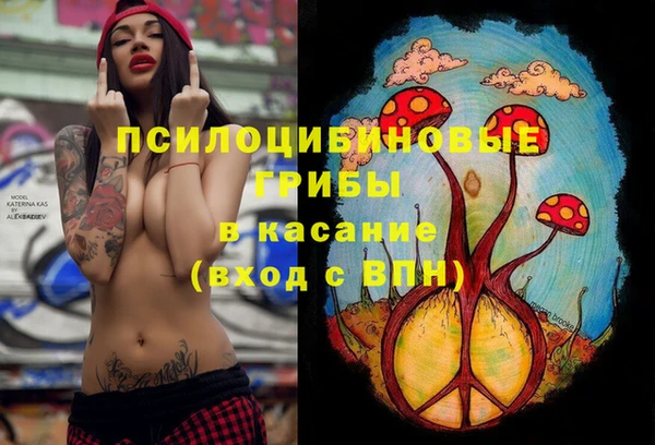крисы Бронницы