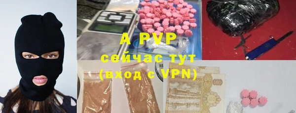 трава Белокуриха