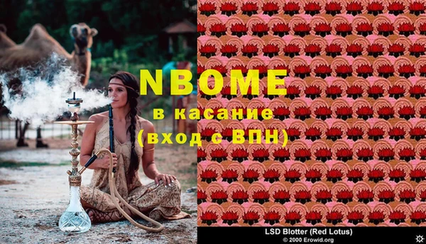 эйфоретик Губаха