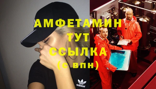крисы Бронницы