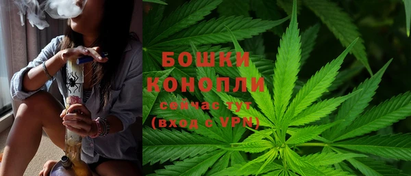 apvp Грязовец