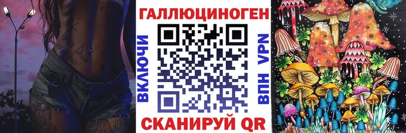 Галлюциногенные грибы Psilocybine cubensis магазин мега маркетплейс Вяземский